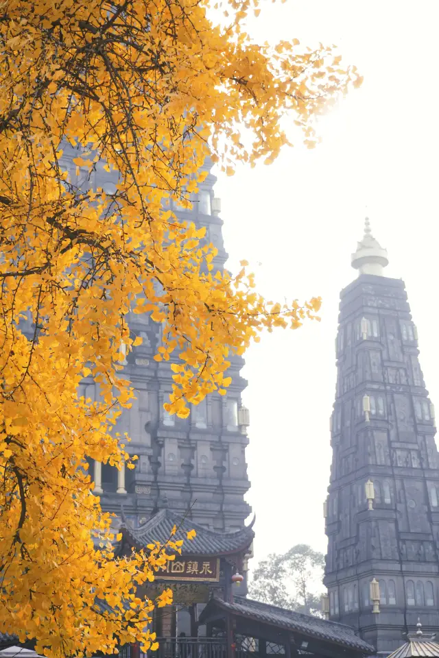 Chengdu Ginkgo Photography | The golden ginkgo under the pagoda has a different exotic style