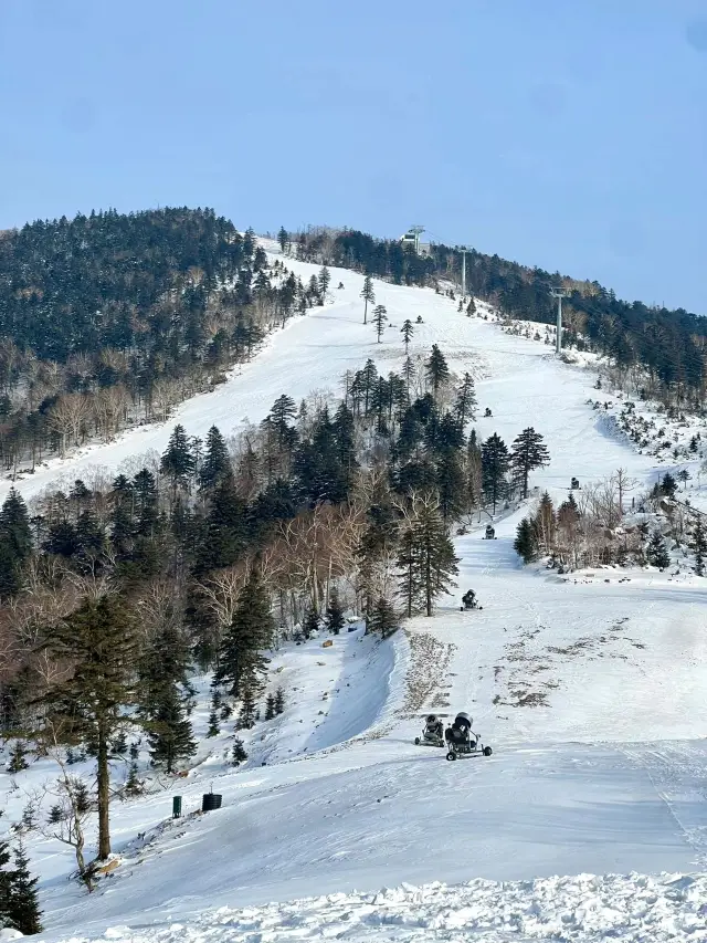 吉林省吉林市北大湖滑雪場 擠爆了