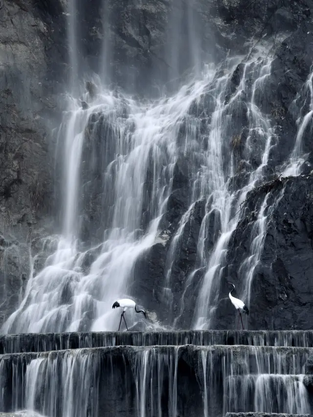 It's not Baizhang Cliff, it's the newly opened Cliff Waterfall Park in Hangzhou