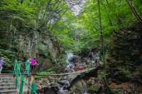 沈陽周邊遊|本溪楓林谷|國慶賞楓好去處