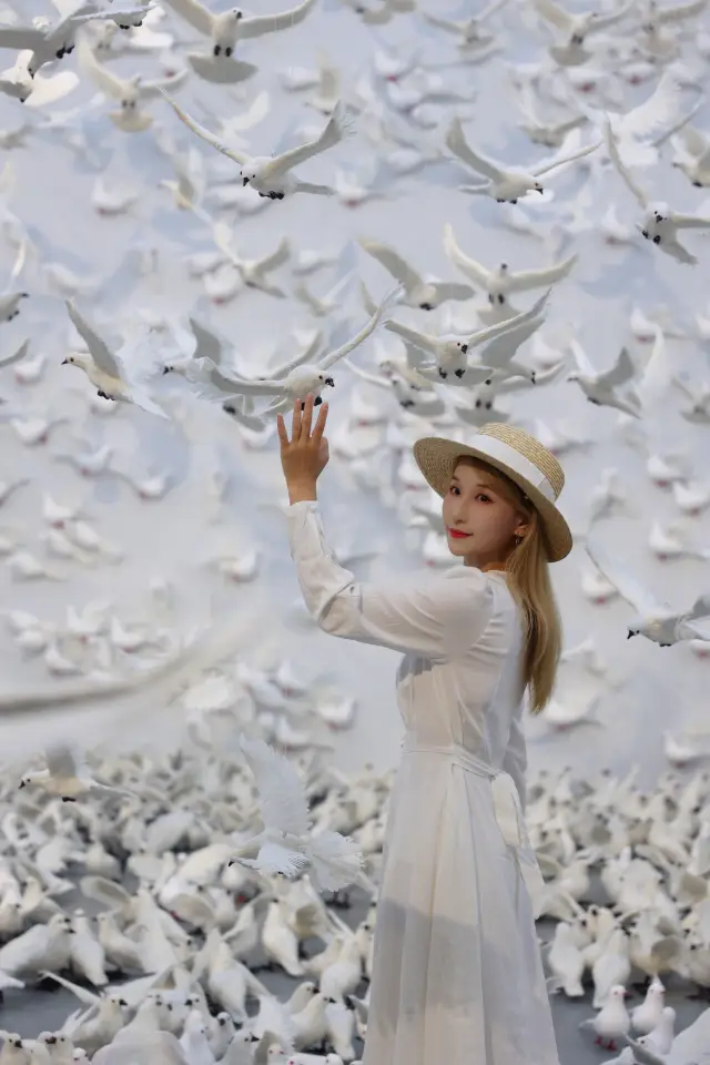 Shocking new exhibition in Shanghai in August | Romance surrounded by tens of thousands of white pigeons