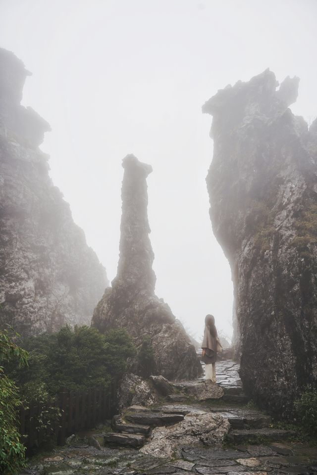 神農架偶遇“野人”