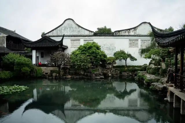 Misty Rain in the South of the Yangtze River, an elegant garden