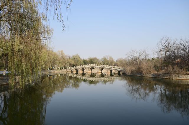 青島膠州公園松雪樂園