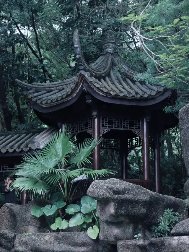 深圳에서는 국풍 공원에 한 번 가야 합니다!