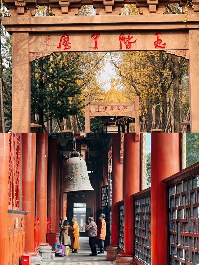 成都這個寺廟拍照出片開主打一個招財進寶 成都這個寺廟拍照出片開主打一個招財進寶