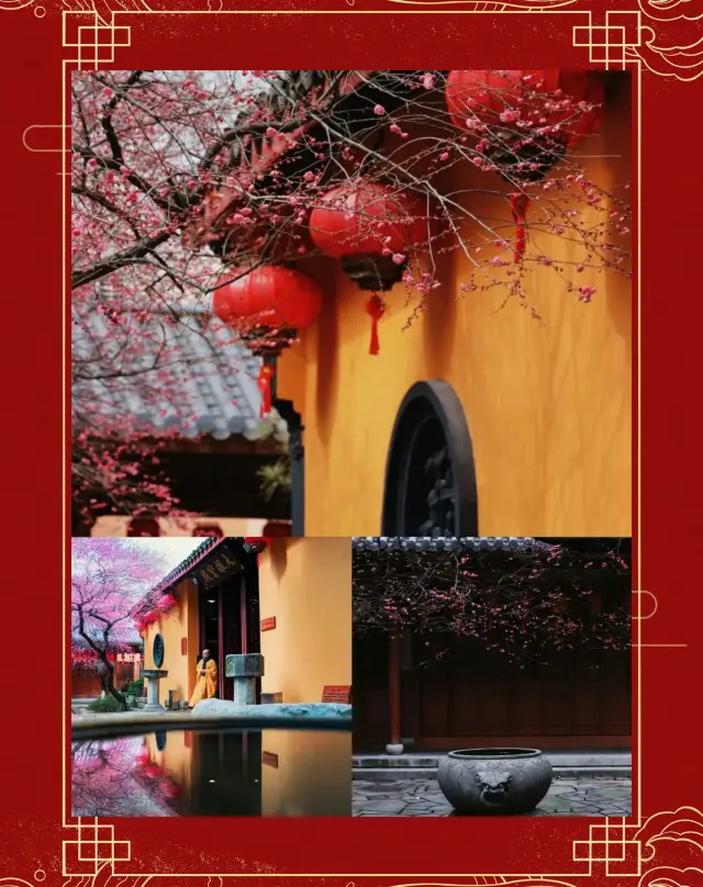 The charm of a thousand-year-old temple, the plum blossom of Tiefo Temple in Huzhou