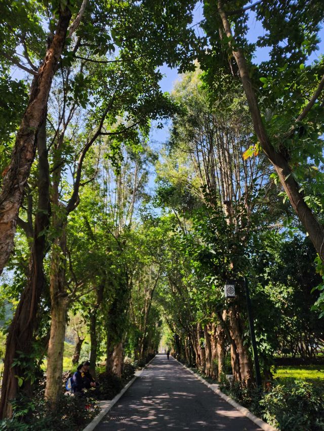 寧靜的南寧市南湖公園景區