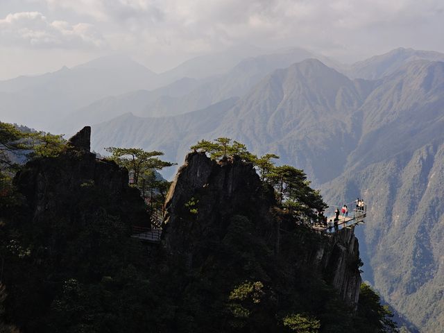 羊獅慕||見山，看山！