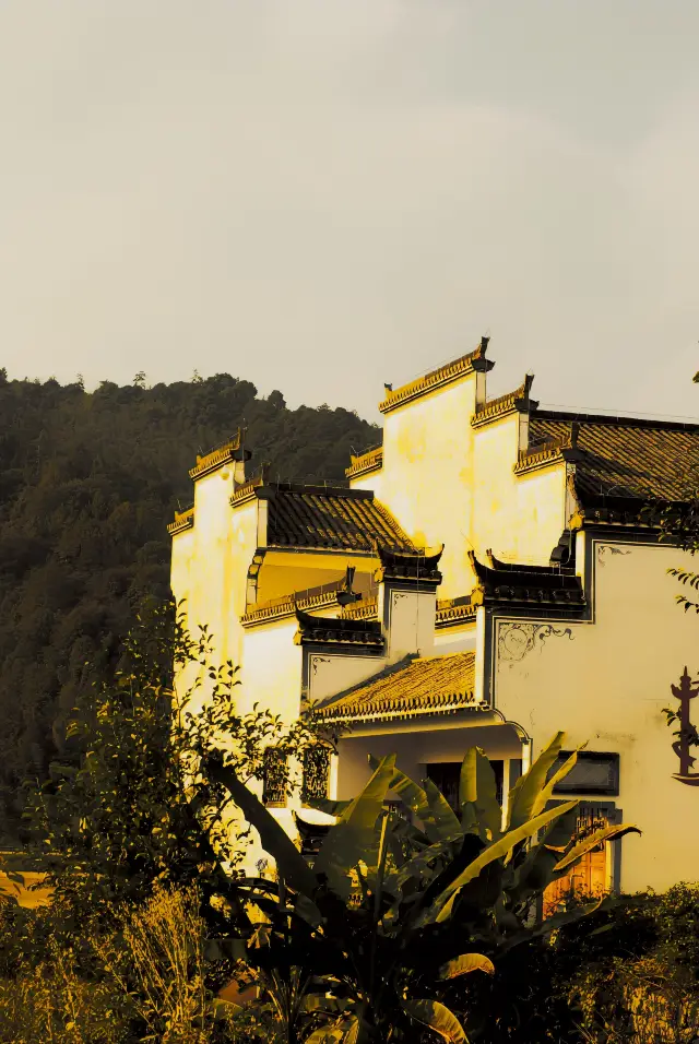 Wuyuan Yantian is not just about the beauty of ancient villages! Hey, friends!