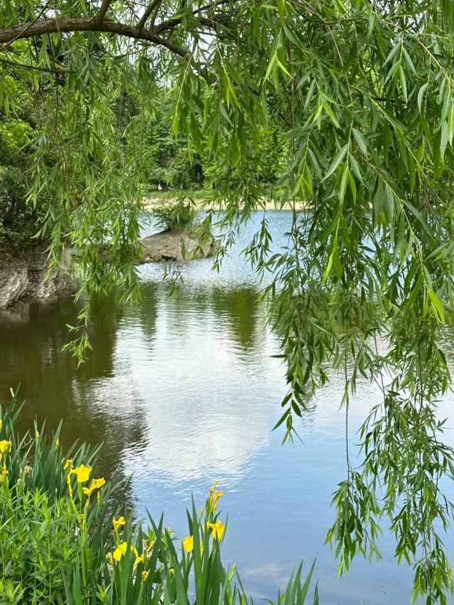 觀山湖公園真的太好逛了!!