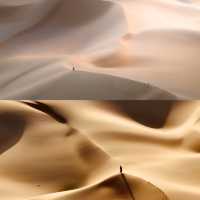 騰格里沙漠-綠洲探險記