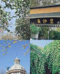 鄭州春日好去處免費（合集）！！好看又好拍～
