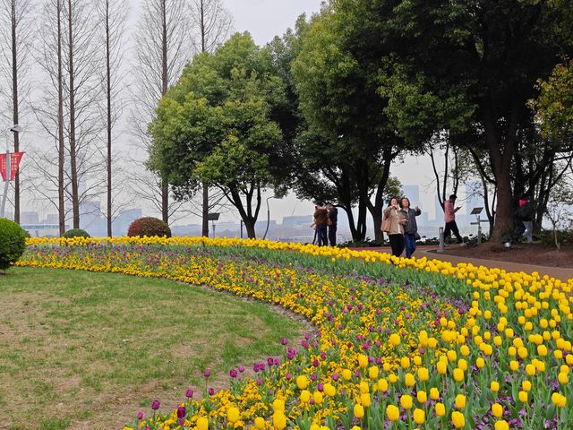 我在濱江走花路｜濱江兩岸免費賞花一日遊
