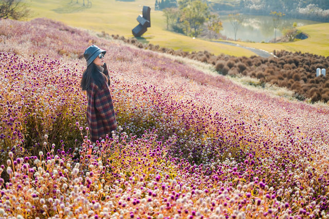 杭州露營天花板