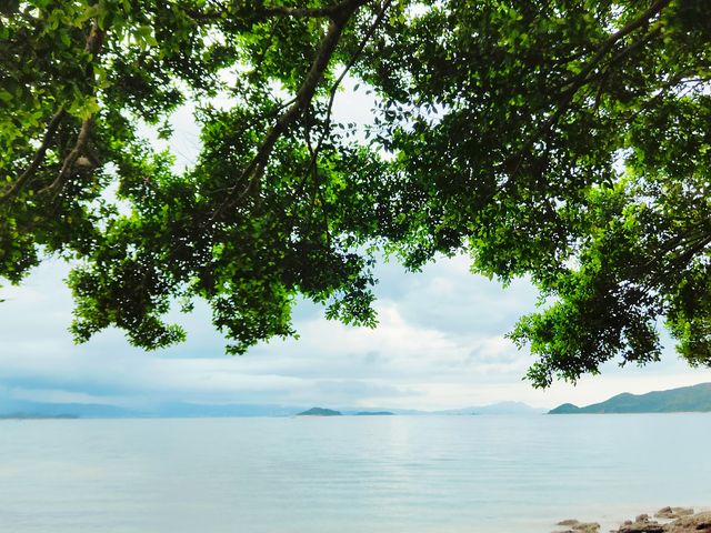 紅排角環線徒步，感受深圳最原始海岸線