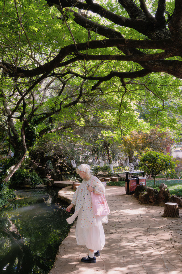 昆明這個公園也太美了！好像愛麗絲的夢境！