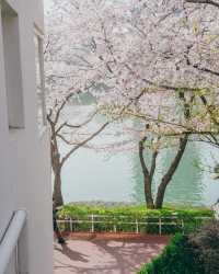 韓國·首爾·石村湖「文化空間湖」