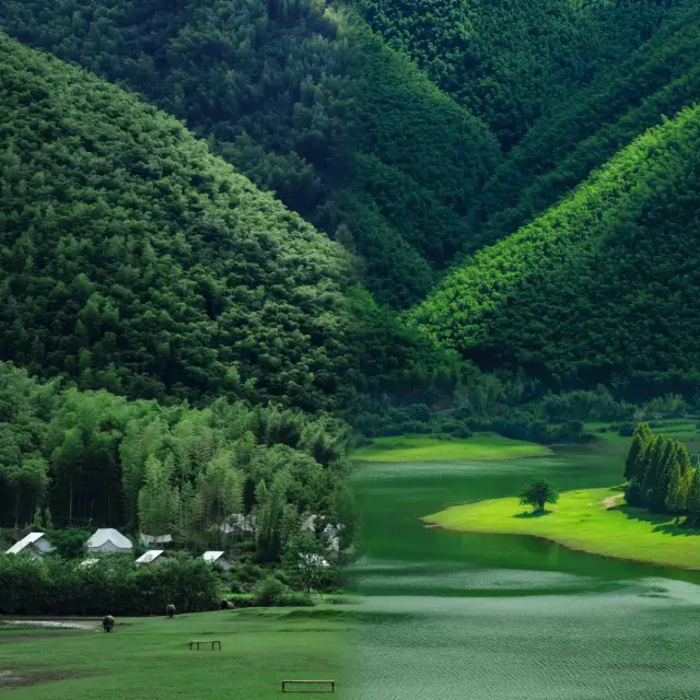 A crazy place on social media! It's not Xinjiang but the 'Wizard of Oz' in Zhejiang