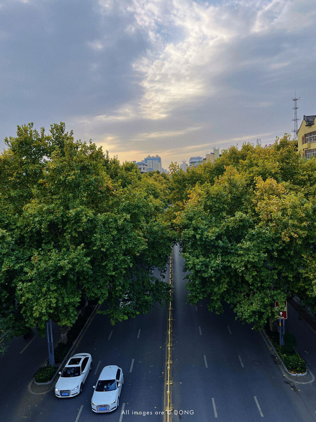 When visiting Xi'an, one must surely make a trip to the Xi'an City Wall, right?