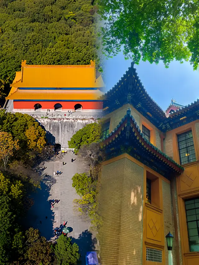 A must-visit for spring outings in Nanjing! Ming Xiaoling Mausoleum flower viewing guide