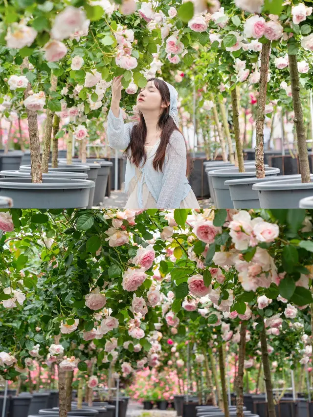 항주 지하철로 바로 갈 수 있어요! 끝없는 여름 폭포 군! 심하게 저평가된 작은 마을