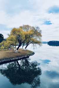 太倉旅遊保姆級攻略｜不踩雷