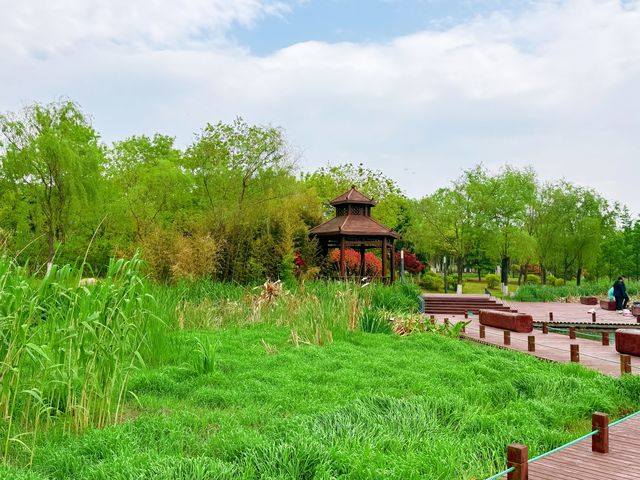 皂戶河公園：夏日清涼綠洲，一遊盡享自然魅力！