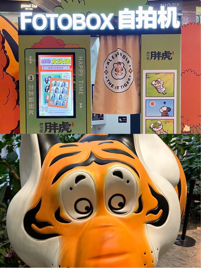 熱帶雨林與現代人文的交織