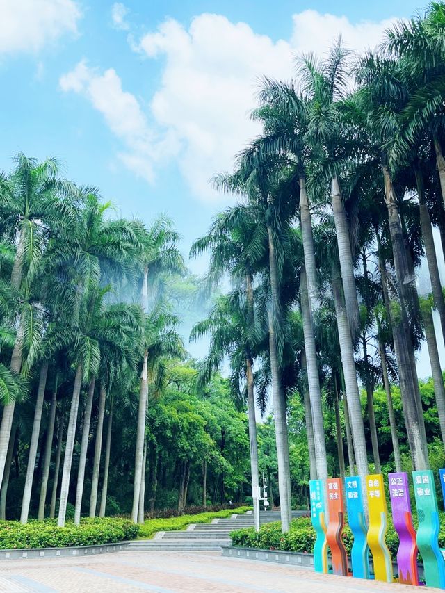 我宣布！ 大沙河生態公園是深圳公園的天花板！