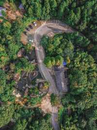 自駕長沙絕美無人森林公路，去感受林中自由的風