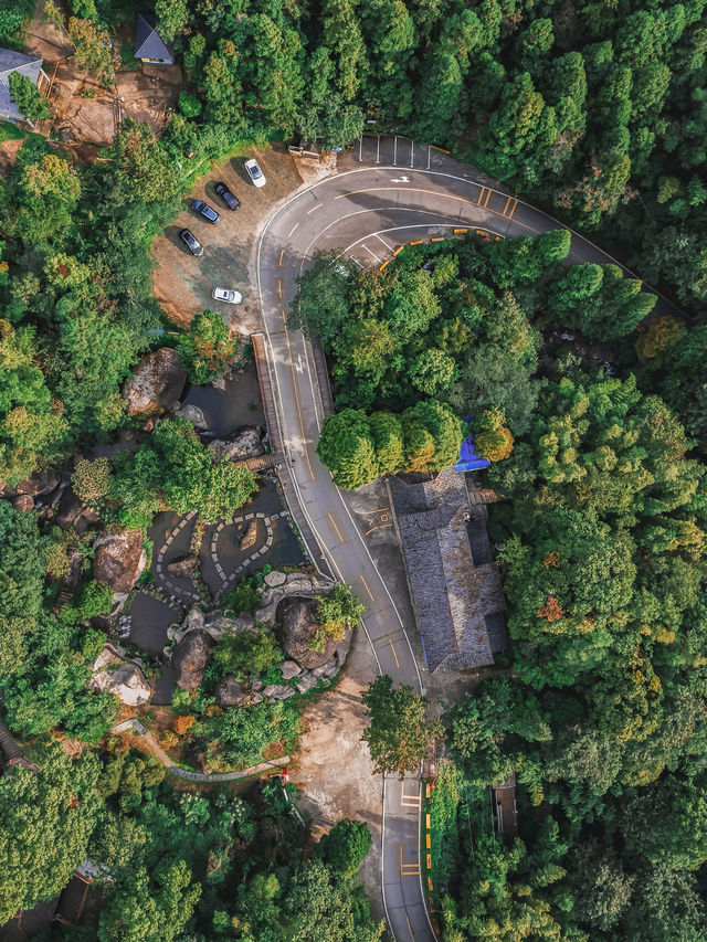 自駕長沙絕美無人森林公路，去感受林中自由的風