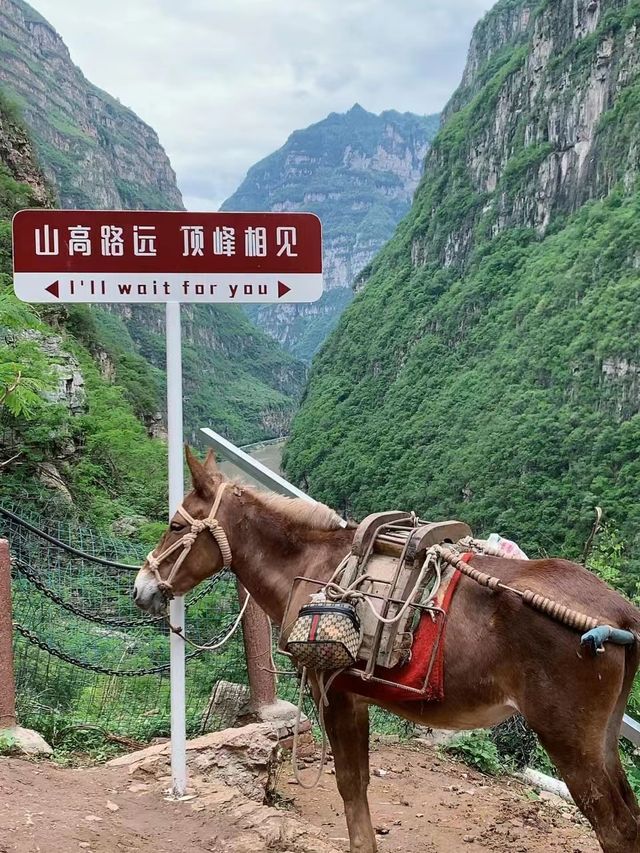 懸崖古路村