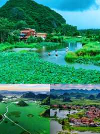 賞荷花、享清涼，雲南避暑天堂-普者黑