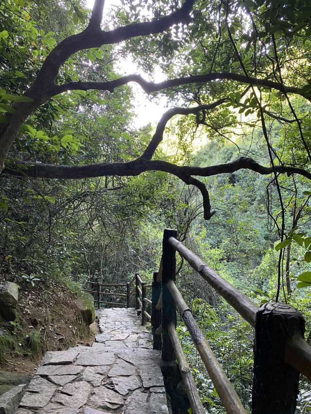 ☀️ A Summer Afternoon in Maluanshan Countryside Park 🌳