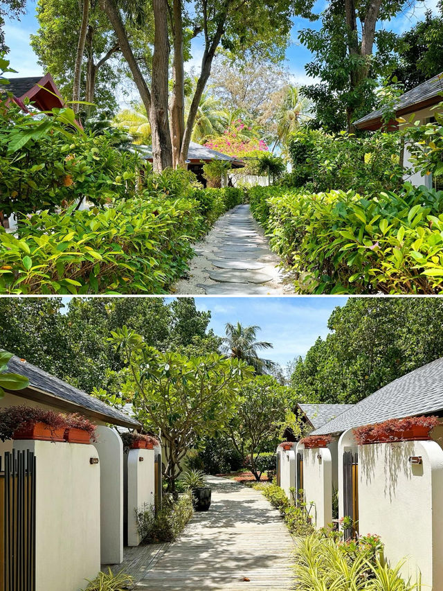 馬爾代夫盛泰樂拉富士島～真的是超高性價比的絕美情侶度假聖地！