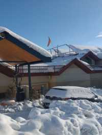 🌄 Shimla's Scenic Splendor: Radisson Kufri Stay 🏨✨