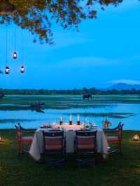 🌴🏨 Sri Lanka's Scenic Stay: Cinnamon Lodge Habarana 🐒🌄