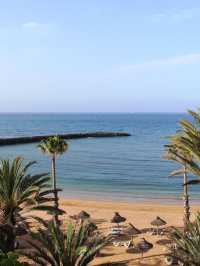 🌟 Canary Islands' Cozy Comforts at Sir Anthony 🌴✨