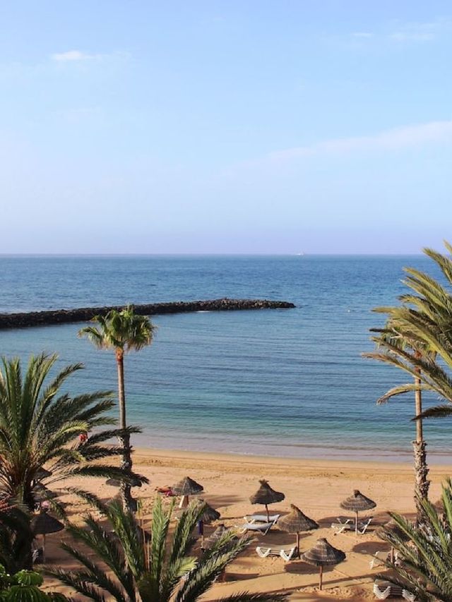 🌟 Canary Islands' Cozy Comforts at Sir Anthony 🌴✨