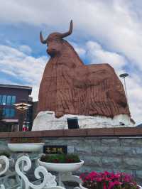 給第一次來甘南旅行的條建議