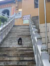 九華山千萬別錯過這份祈福攻略