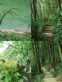 重慶慢慢遊本地人私藏的個寶藏地點