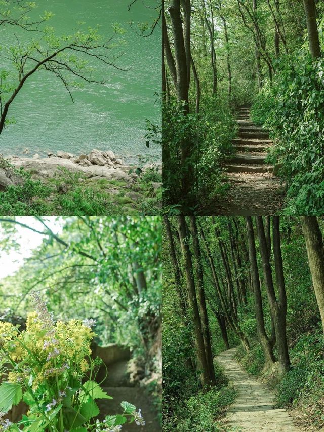 重慶慢慢遊本地人私藏的個寶藏地點