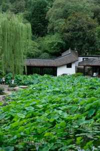 綿陽西山公園推薦