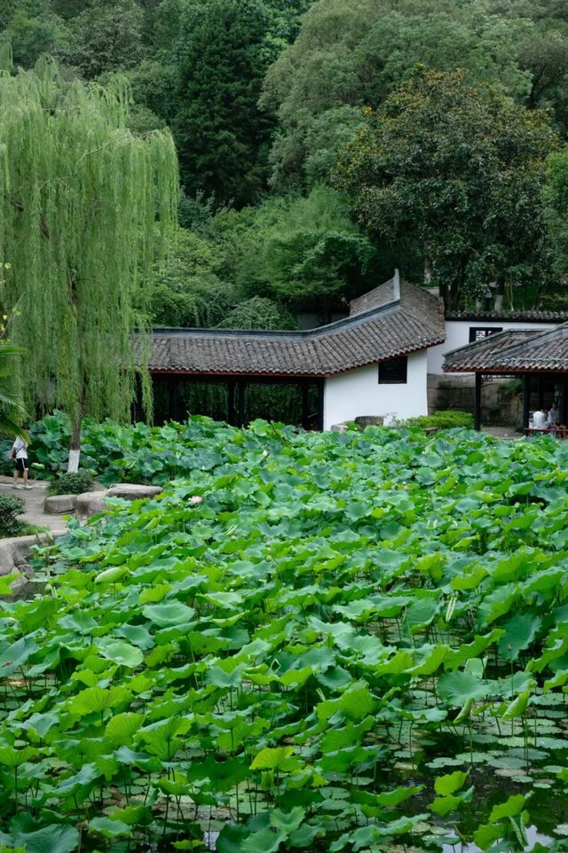 綿陽西山公園推薦