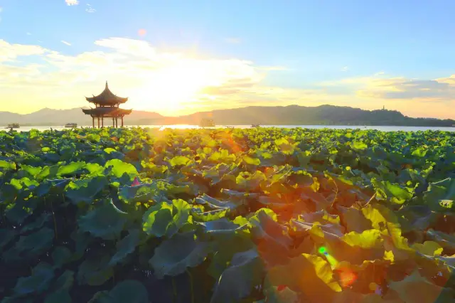 杭州西湖落日美景