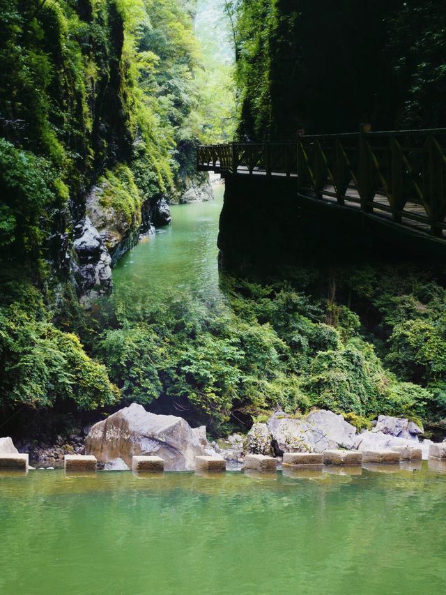 開陽秘境：南江大峽谷的自然奇觀與極限挑戰