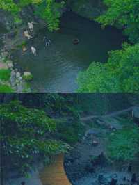 玩水季 無濾鏡浮憩谷值不值得去||作為魔都避暑的後花園