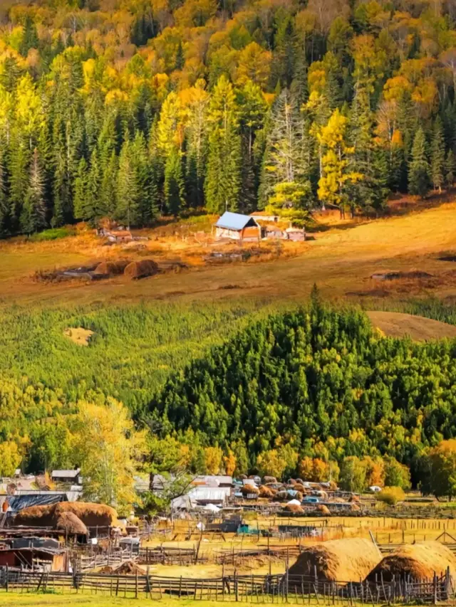 接下來的阿勒泰是這樣的……一來一個不吱聲